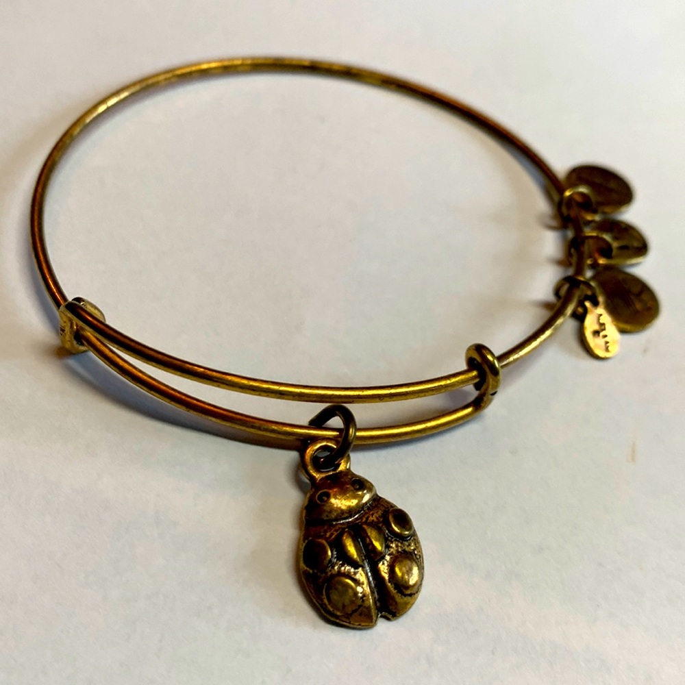 3/$15 Alex and Ani Ladybug Rafaelian gold bracelet
